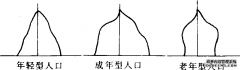 人口金字塔