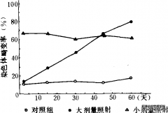 辐射与衰老