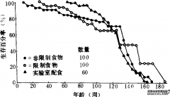 节食与防衰老