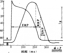 心肌的兴奋性