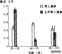 内分泌系统的老化