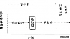 绝经期