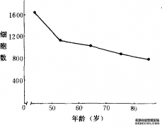 老年人的神经细胞数量