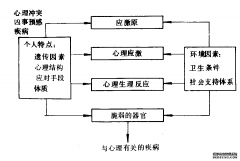 应激的后果