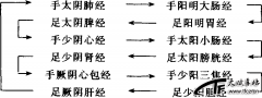 十二经脉