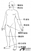 脉搏的测量