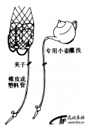 老年性阴道炎病人的护理