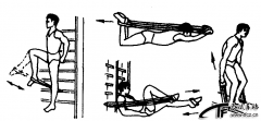 股四头肌练习